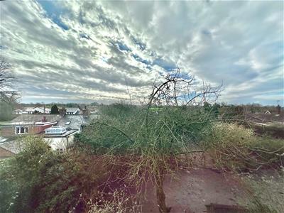 Picture 36